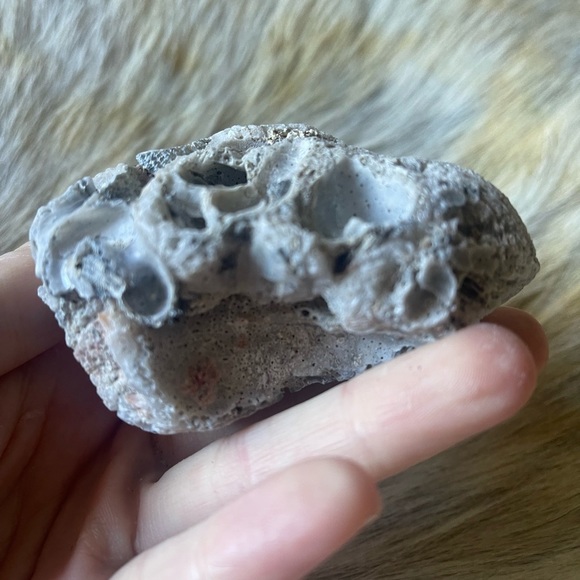 California coral reef rock shells ocean chunk decor - Picture 4 of 4